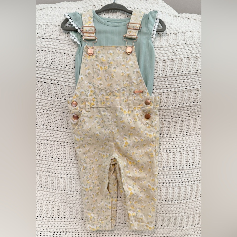 Baby girl overalls & top - size 18M
